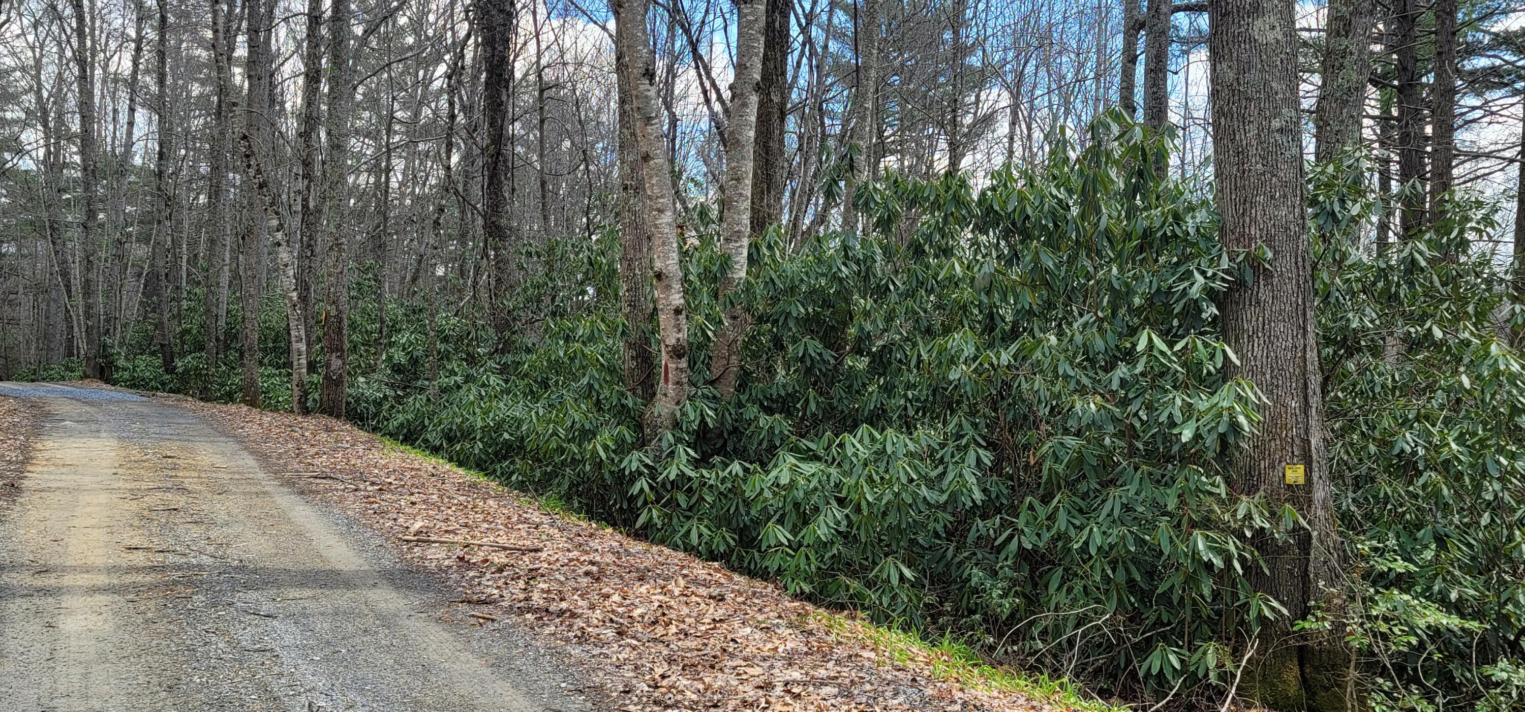 0 White Oak Road Butler, TN 37640 - Photo 24 of 25 20230327_131717