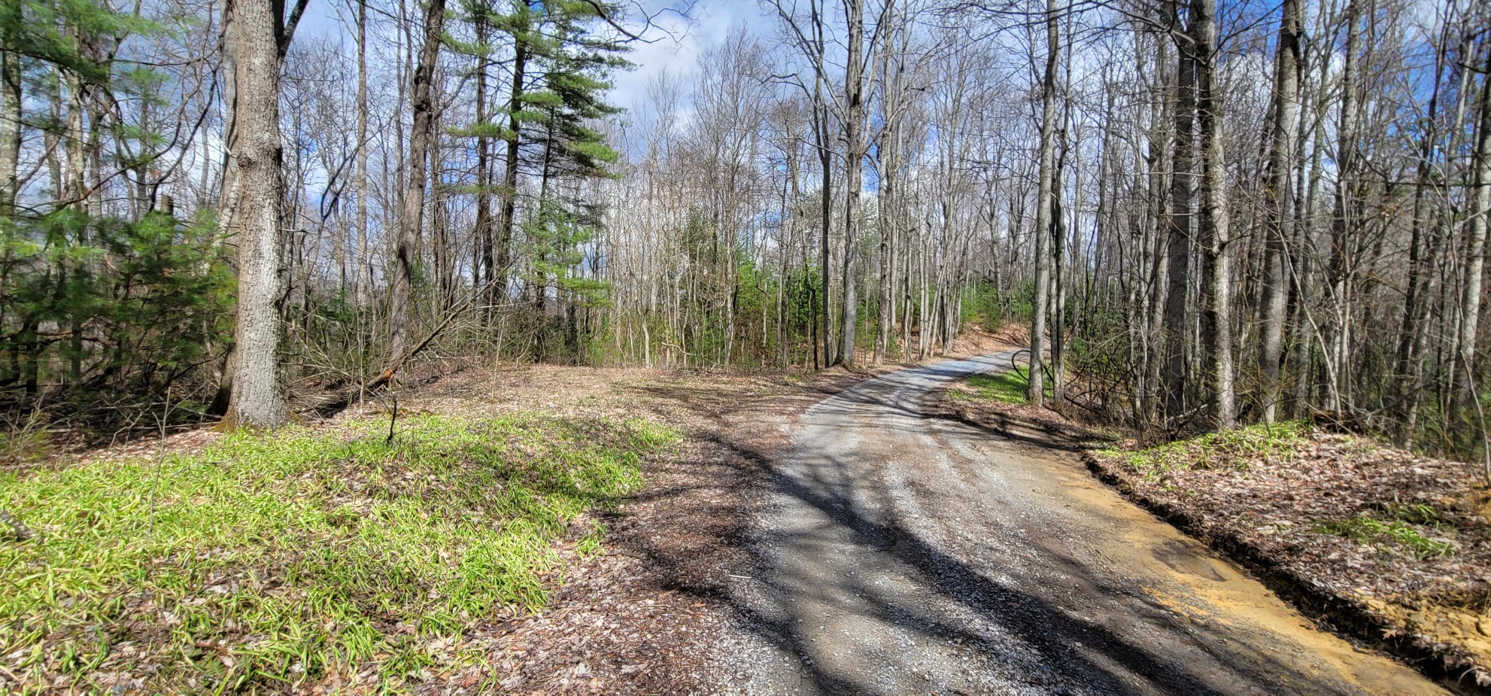 0 White Oak Road Butler, TN 37640 - Photo 3 of 25 20230327_131212