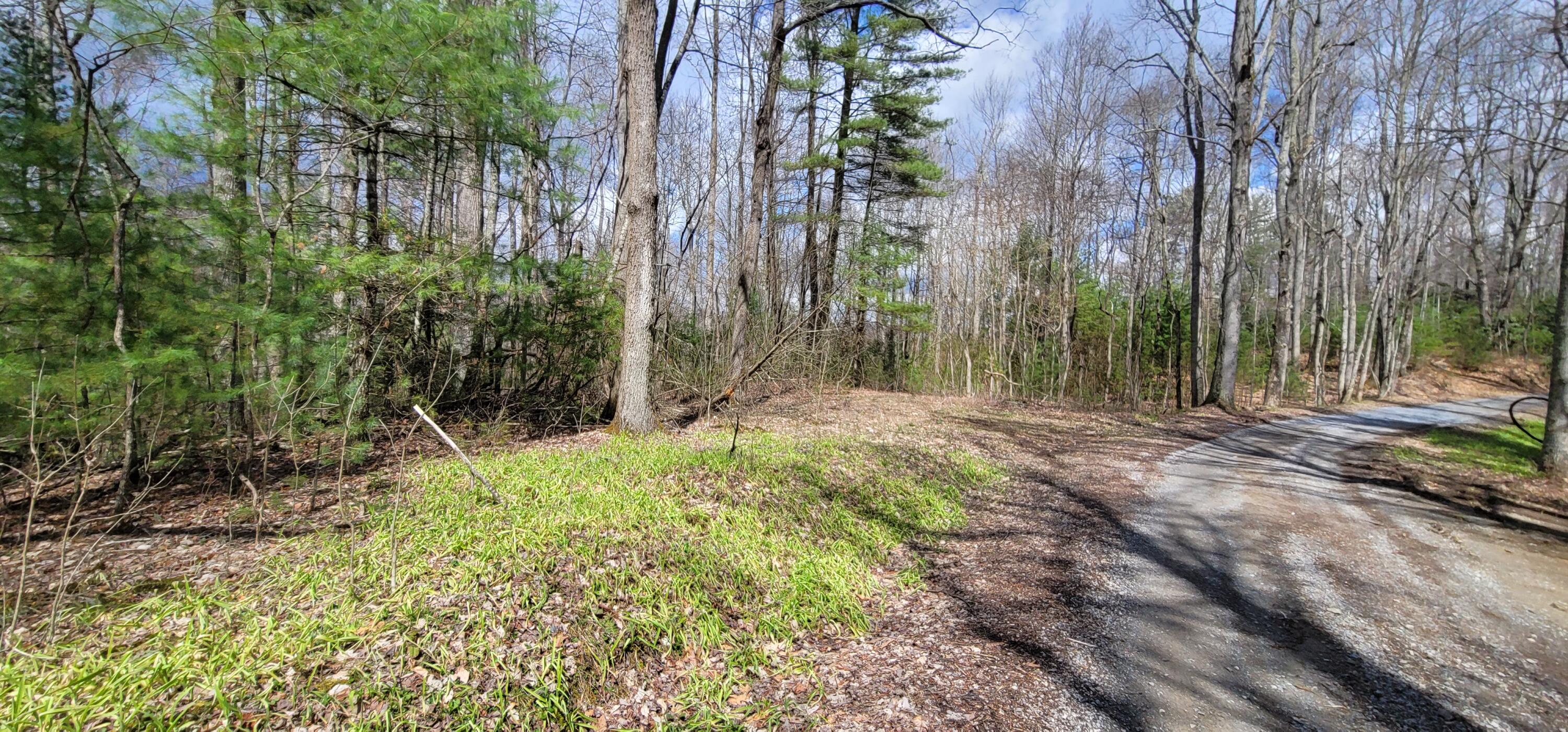 0 White Oak Road Butler, TN 37640 - Photo 6 of 25 20230327_131210
