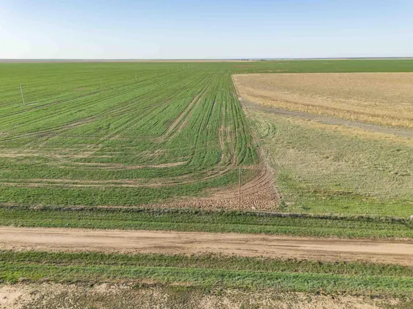 a view of beach and ocean