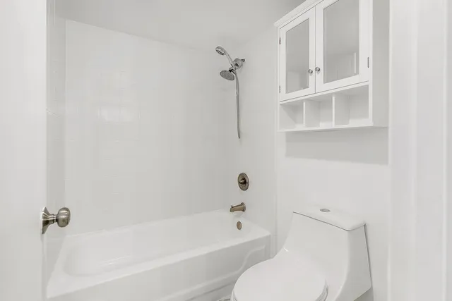 a view of a park with a tree