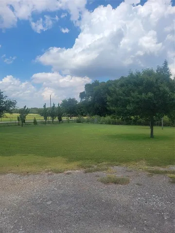a view of a yard with a tree