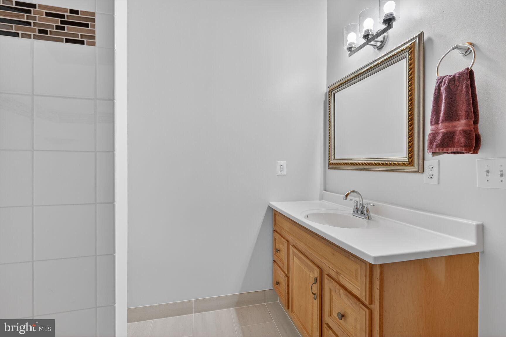 4406 Roundhill Road Alexandria, VA 22310 - Photo 30 of 48 a bathroom with a sink and a mirror