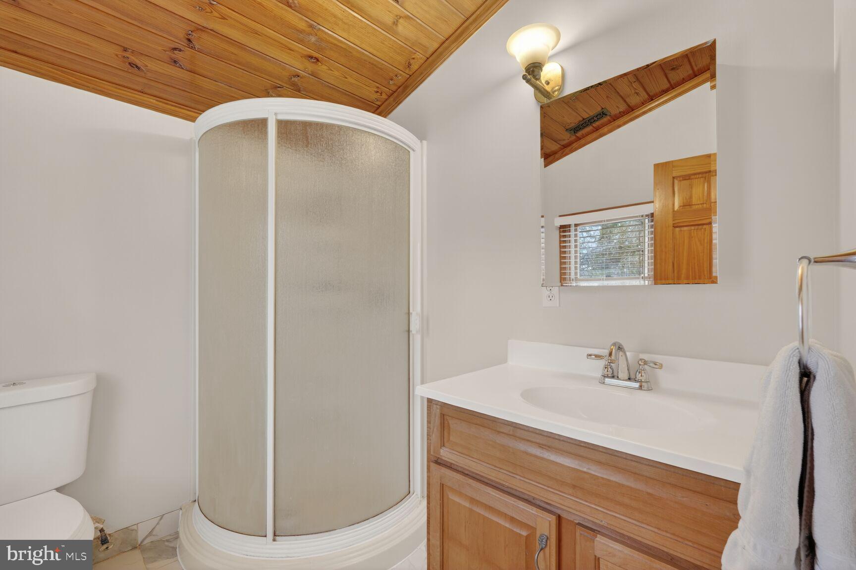 4406 Roundhill Road Alexandria, VA 22310 - Photo 33 of 48 a bathroom with a sink a toilet and shower