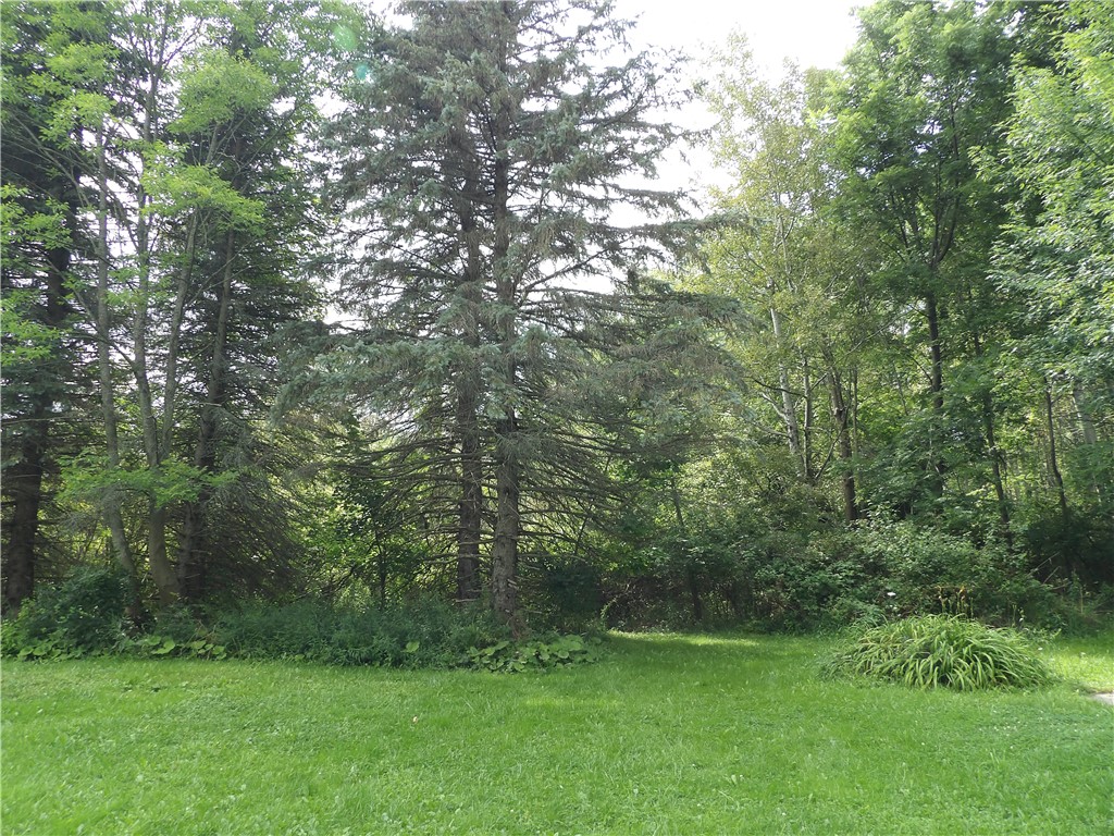 0 Devaney Road Portageville, NY 14536 - Photo 1 of 1 Gallery Image 1