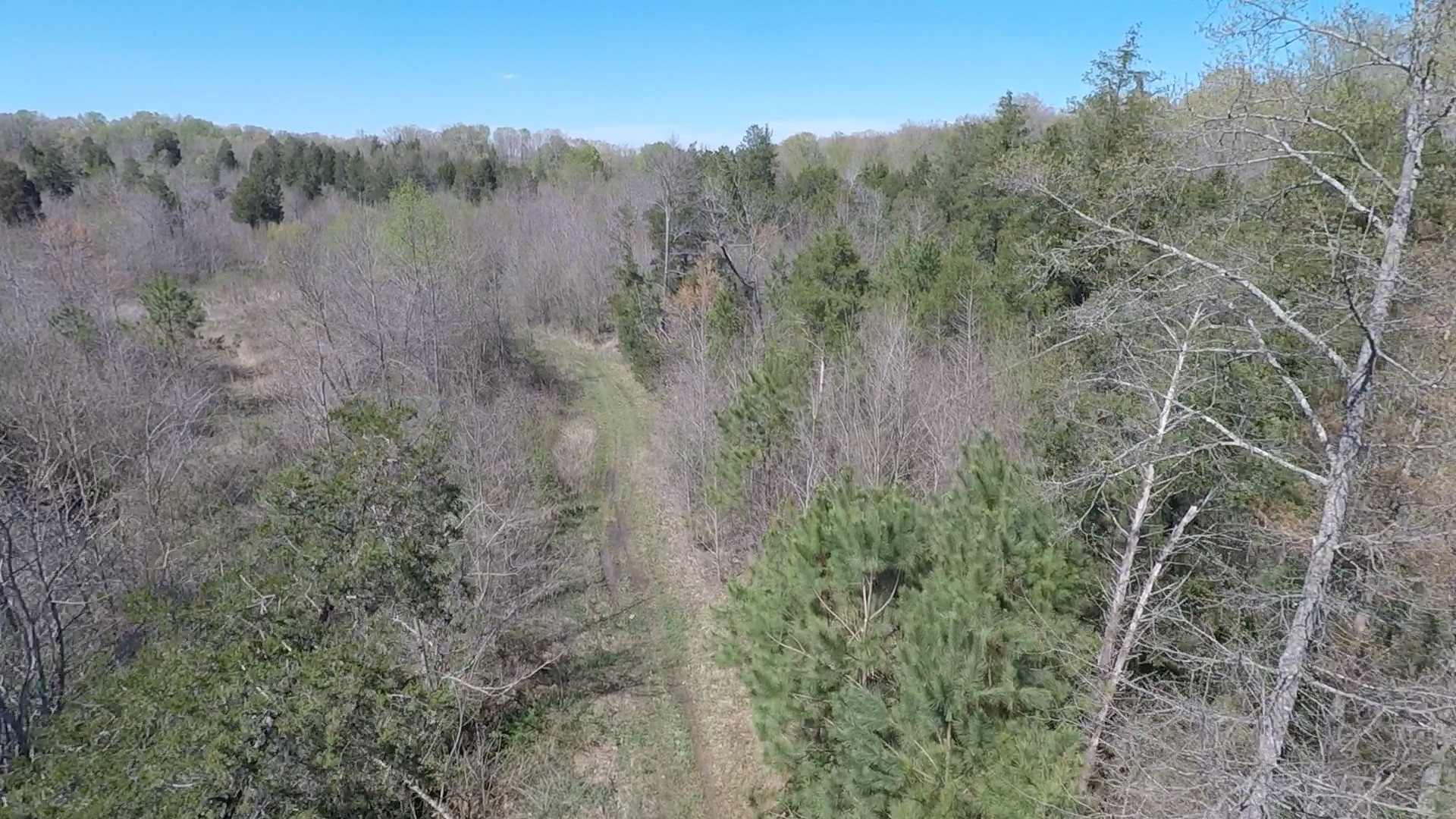 0 New Zion Road McKenzie, TN 38201 - Photo 1 of 9 Gallery Image 1