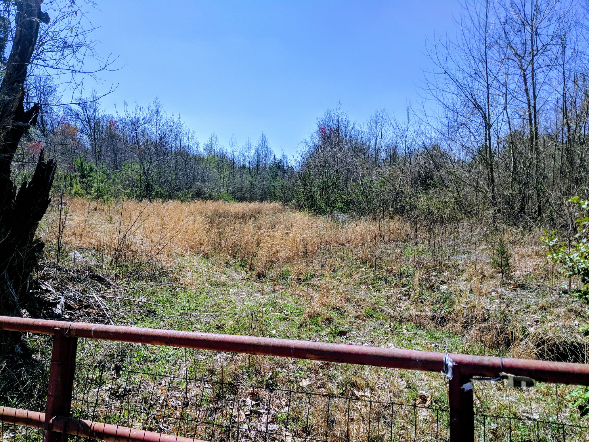 0 New Zion Road McKenzie, TN 38201 - Photo 3 of 9 Gallery Image 3