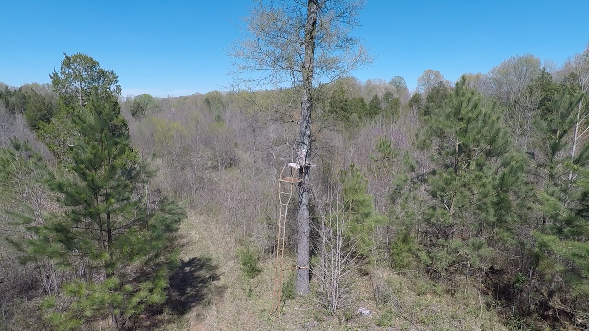 0 New Zion Road McKenzie, TN 38201 - Photo 4 of 9 Gallery Image 4
