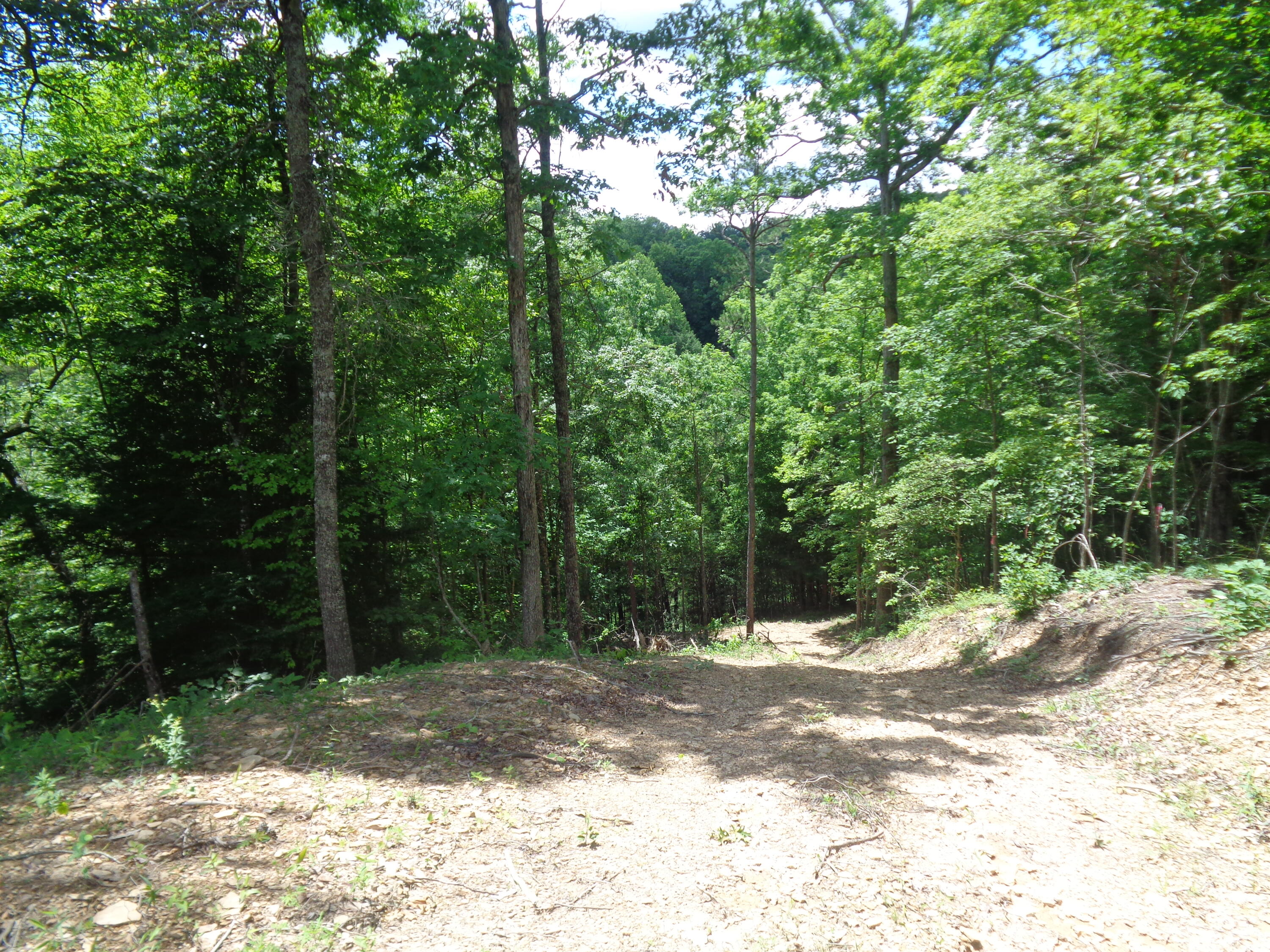 Lot 9 Fount Hubbard Road London, KY 40741 - Photo 21 of 27 DSC04844