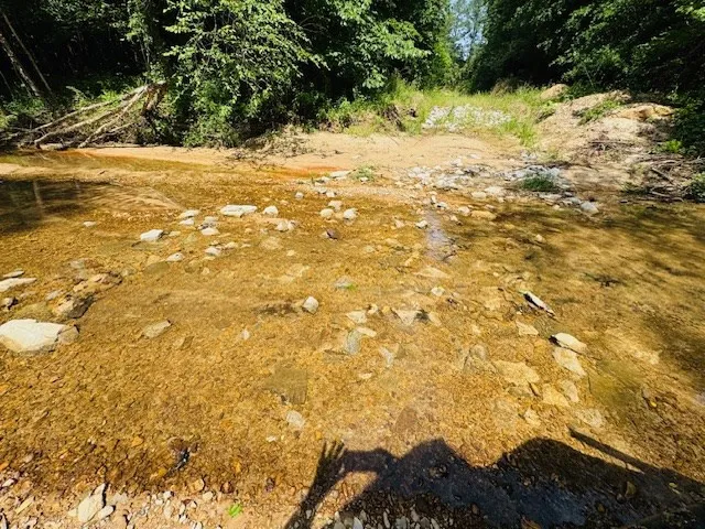 $999,950 | 2360 Sullivan Mccall Creek, McCall Creek, MS 39647