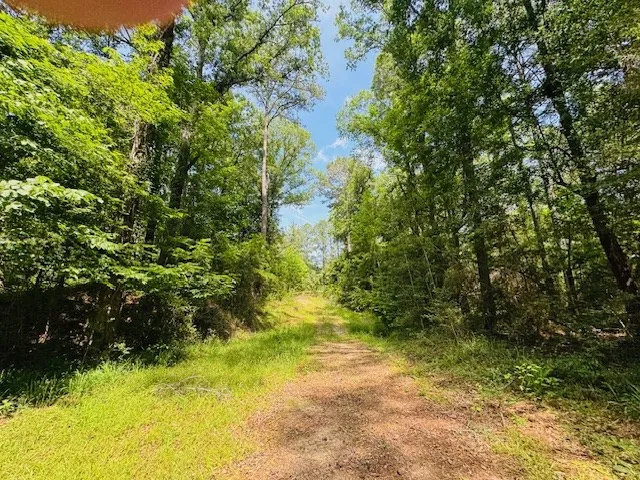 $999,950 | 2360 Sullivan Mccall Creek, McCall Creek, MS 39647