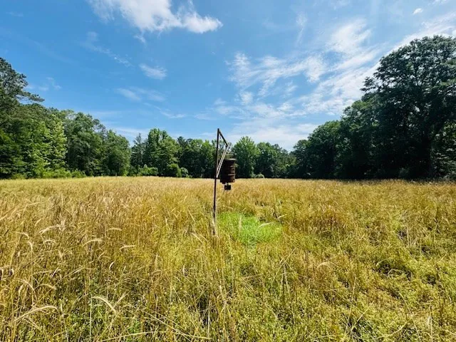 $999,950 | 2360 Sullivan Mccall Creek, McCall Creek, MS 39647