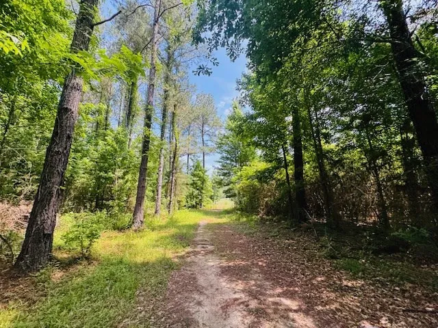 $999,950 | 2360 Sullivan Mccall Creek, McCall Creek, MS 39647