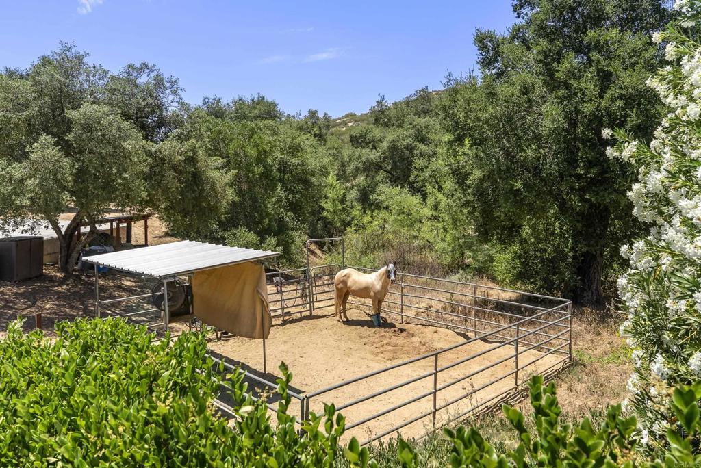 24627 Watt Road Ramona, CA 92065 - Photo 2 of 50