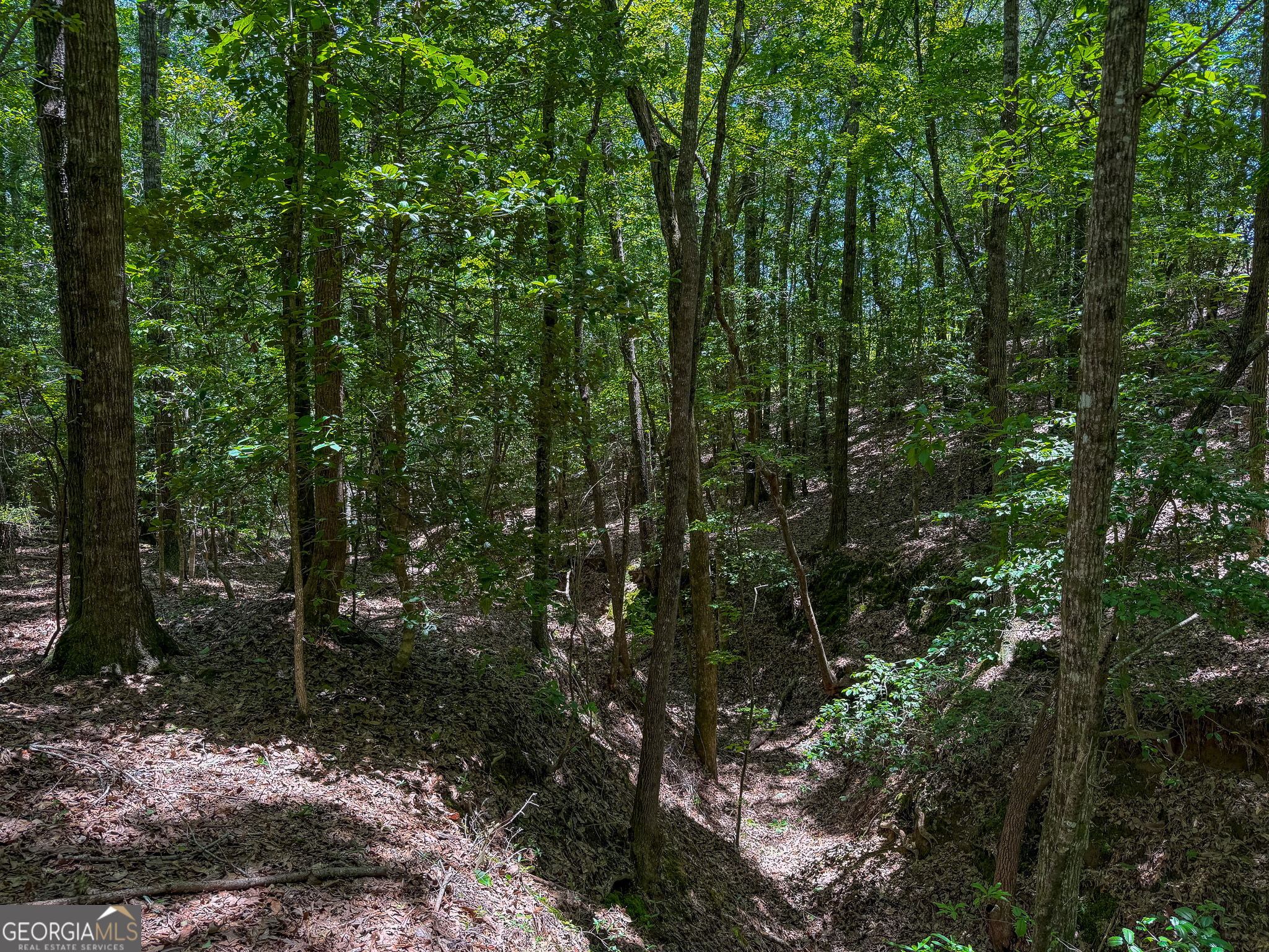 6687 Green Grove Road Lumpkin, GA 31815 - Photo 22 of 25
