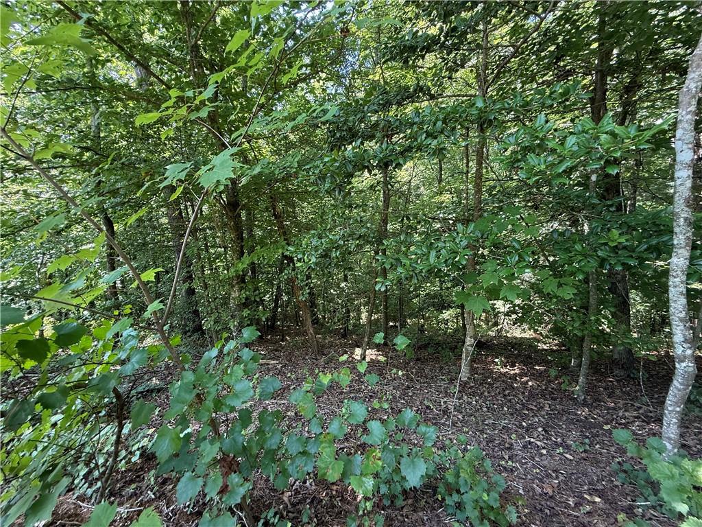 79 River Overlook Lane Ellijay, GA 30540 - Photo 11 of 23