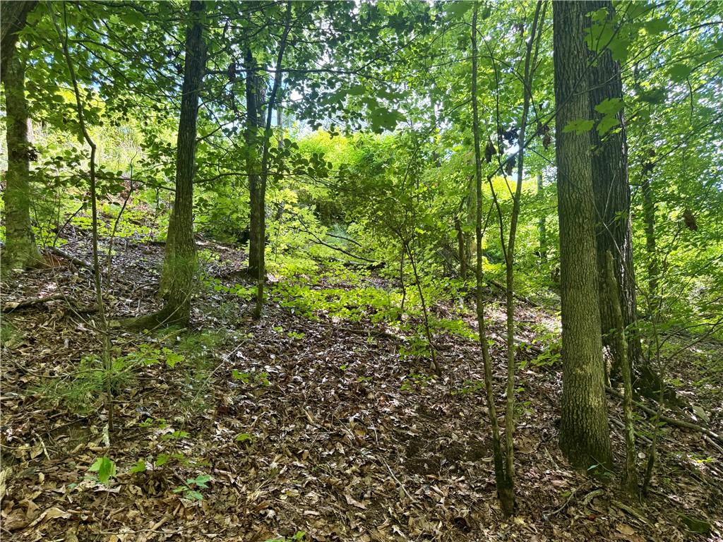 79 River Overlook Lane Ellijay, GA 30540 - Photo 12 of 23