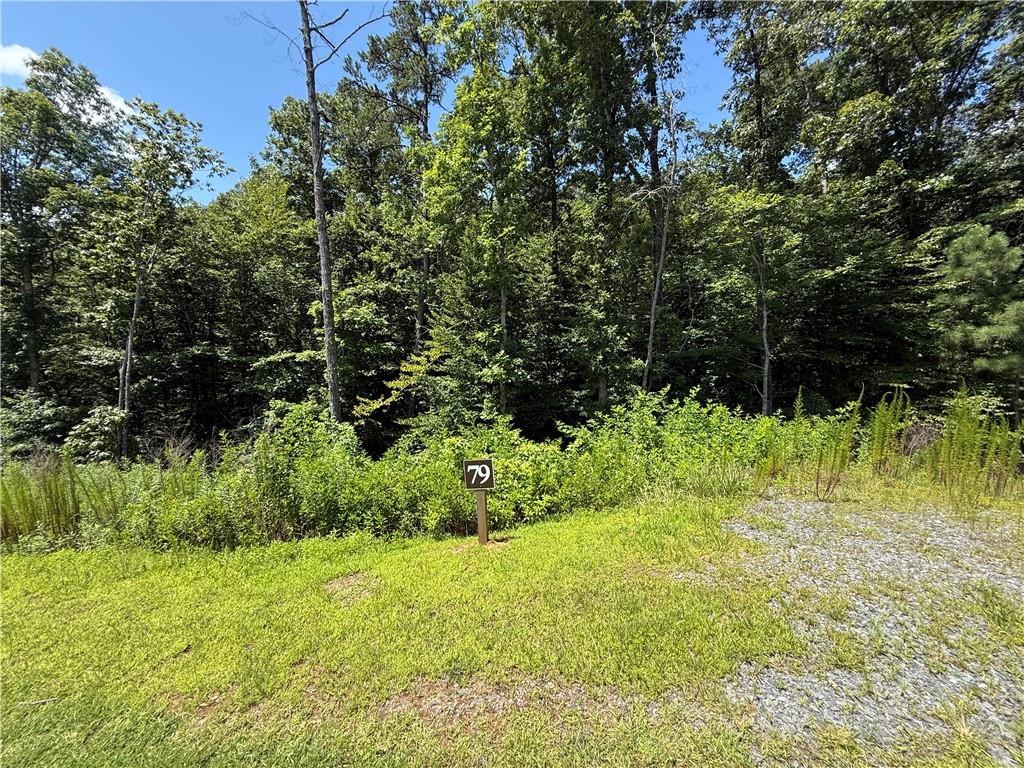 79 River Overlook Lane Ellijay, GA 30540 - Photo 14 of 23