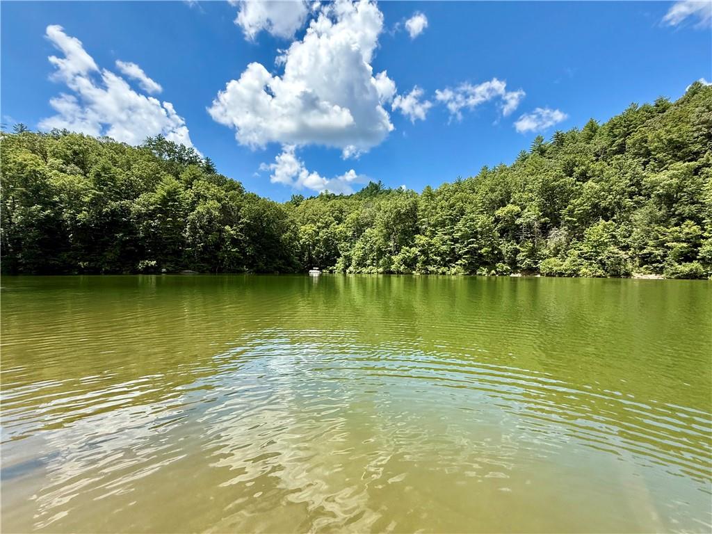 79 River Overlook Lane Ellijay, GA 30540 - Photo 20 of 23