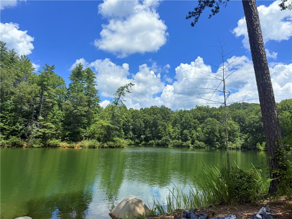 79 River Overlook Lane Ellijay, GA 30540 - Photo 21 of 23