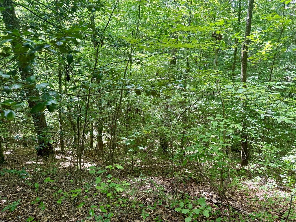 79 River Overlook Lane Ellijay, GA 30540 - Photo 7 of 23