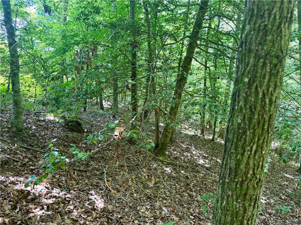 79 River Overlook Lane Ellijay, GA 30540 - Photo 8 of 23