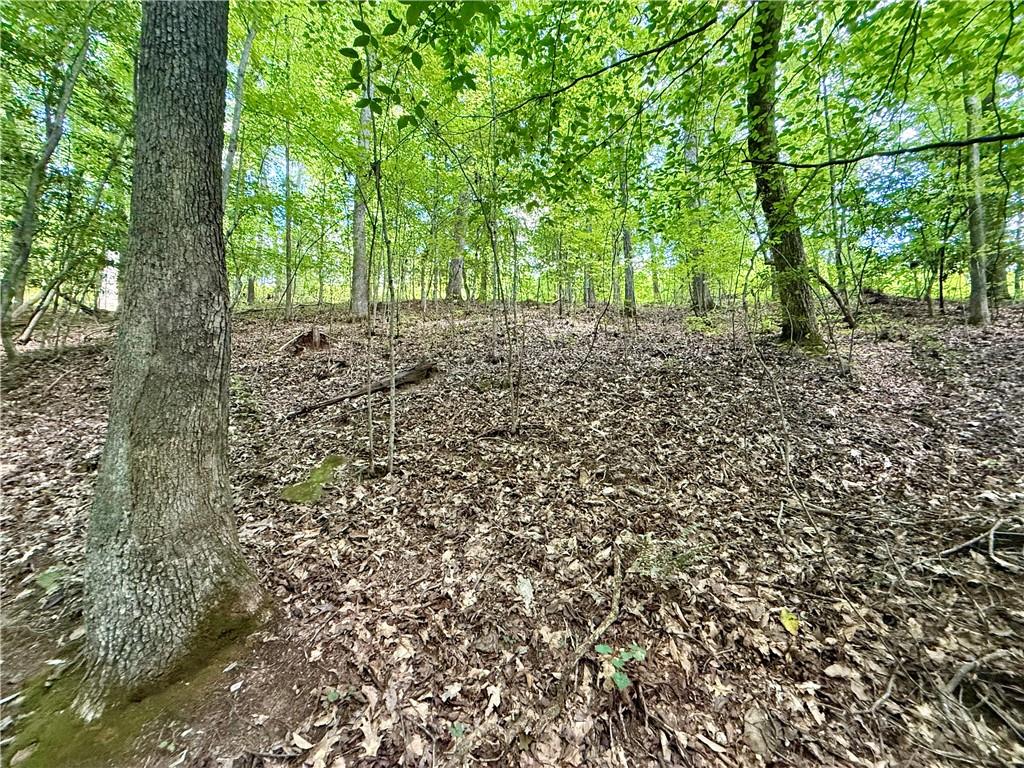 79 River Overlook Lane Ellijay, GA 30540 - Photo 9 of 23