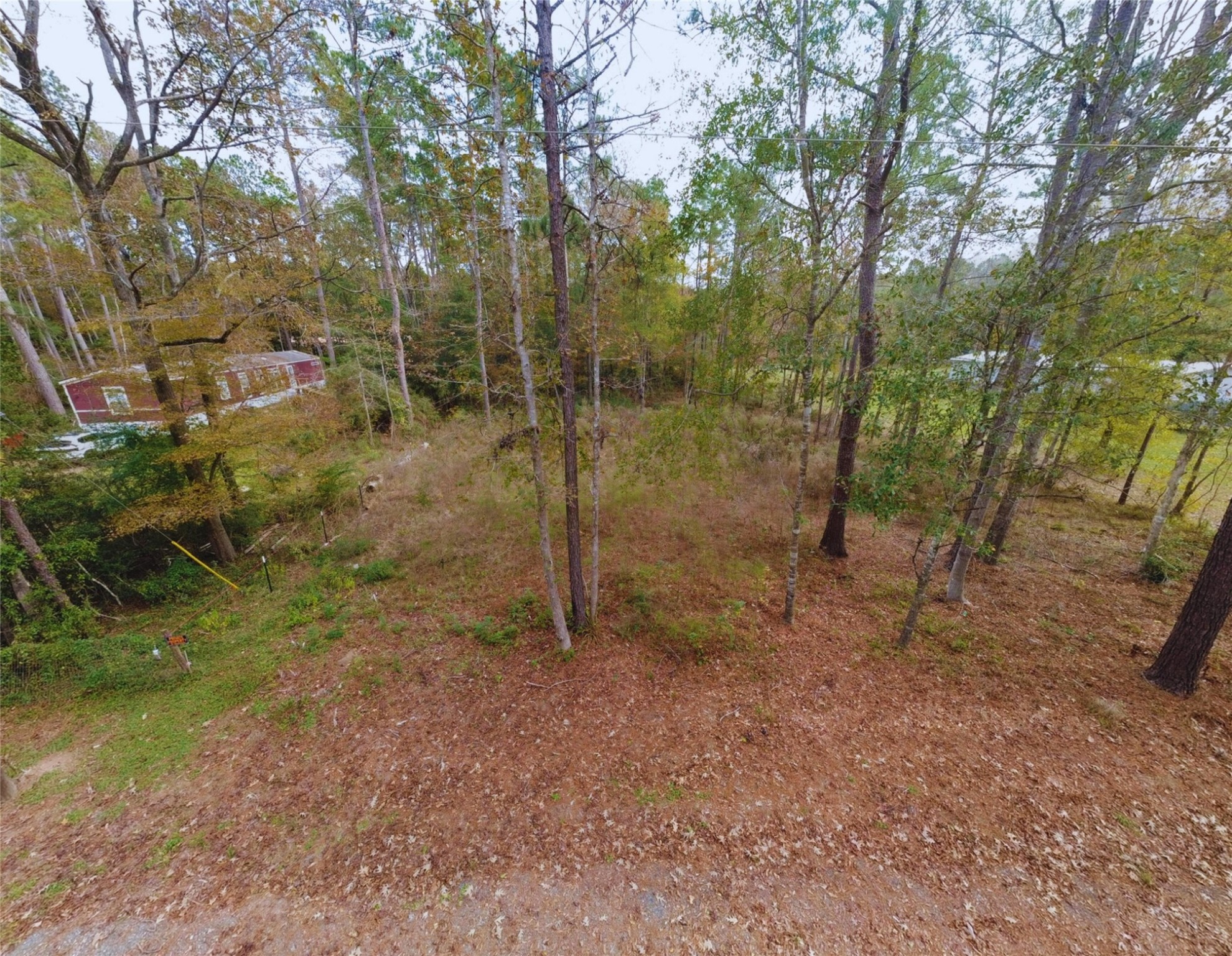 0 L L Denson Road Coldspring, TX 77331 - Photo 5 of 12 a view of a forest with large trees