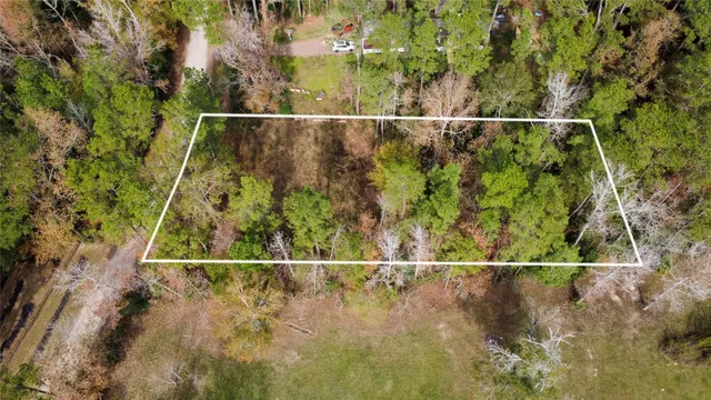 a view of a garden with plants