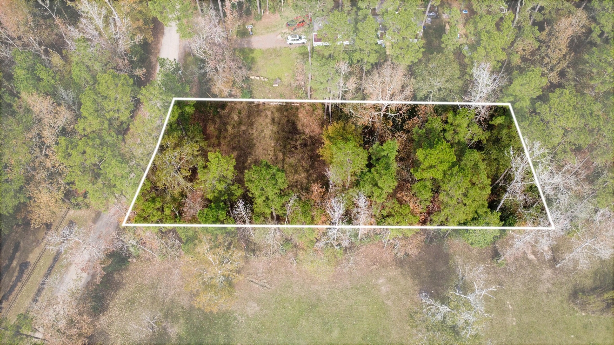 0 L L Denson Road Coldspring, TX 77331 - Photo 7 of 12