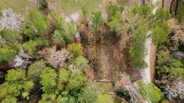 a view of a backyard with large trees