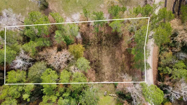 a view of a fence and a potted plant