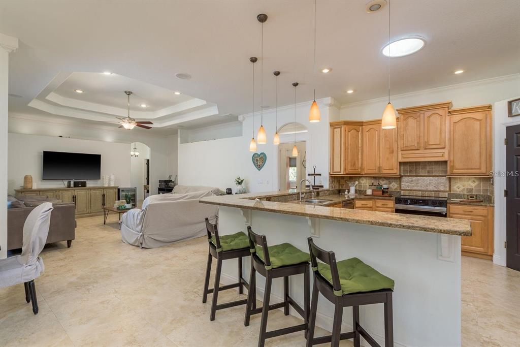 6219 Riviera Lane New Port Richey, FL 34655 - Photo 18 of 45