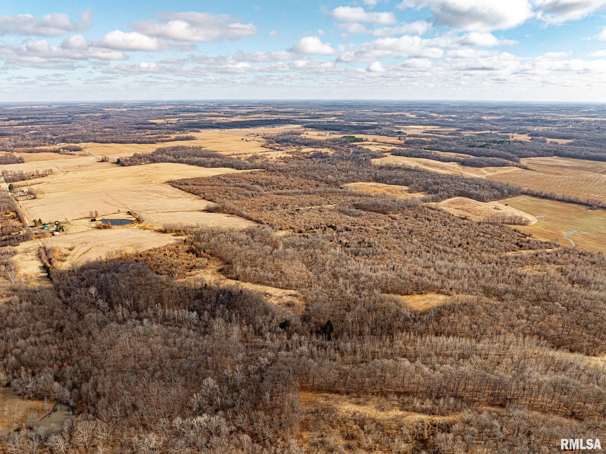 0 Propes Road Iuka, IL 62849 - Photo 11 of 100