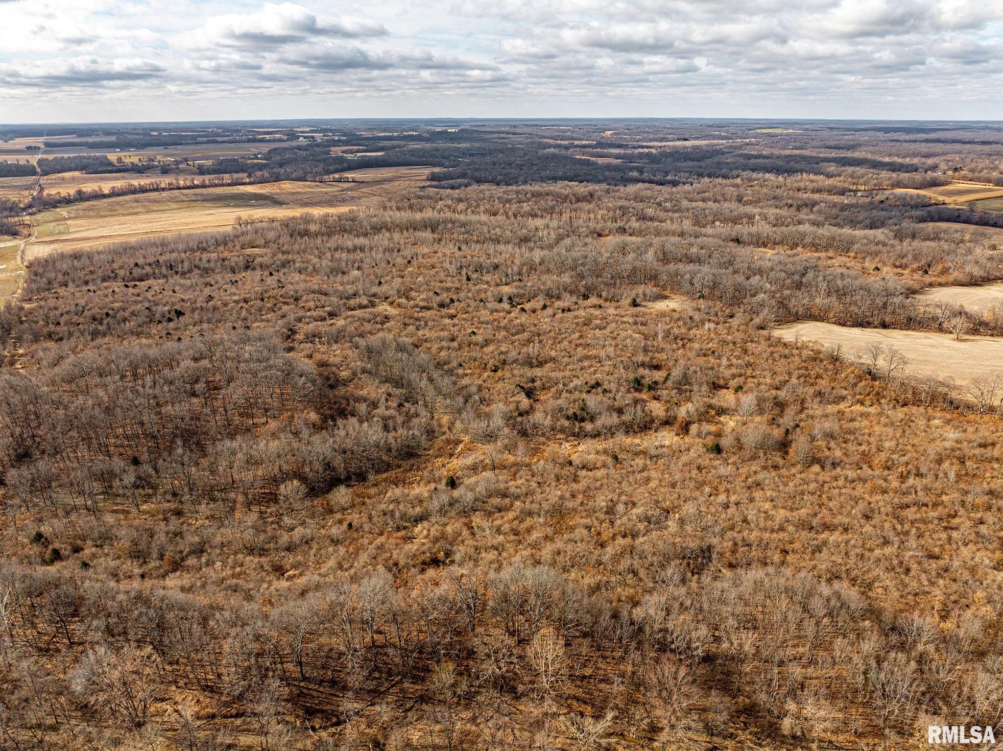 0 Propes Road Iuka, IL 62849 - Photo 12 of 100