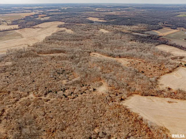 $840,000 | 0 Propes Road, Iuka, IL 62849