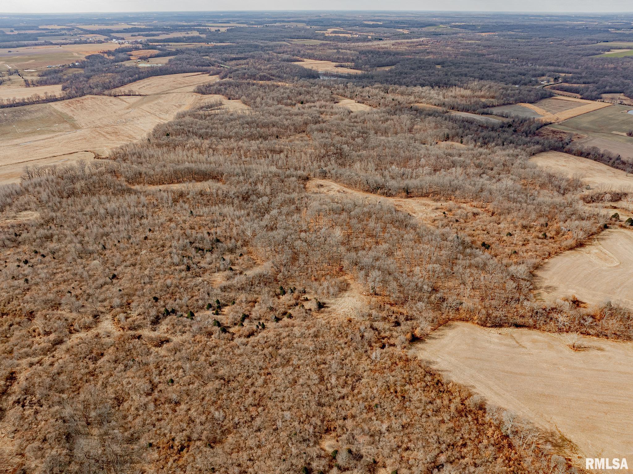 0 Propes Road Iuka, IL 62849 - Photo 14 of 100