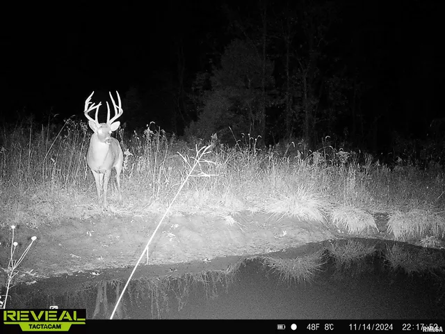 $840,000 | 0 Propes Road, Iuka, IL 62849