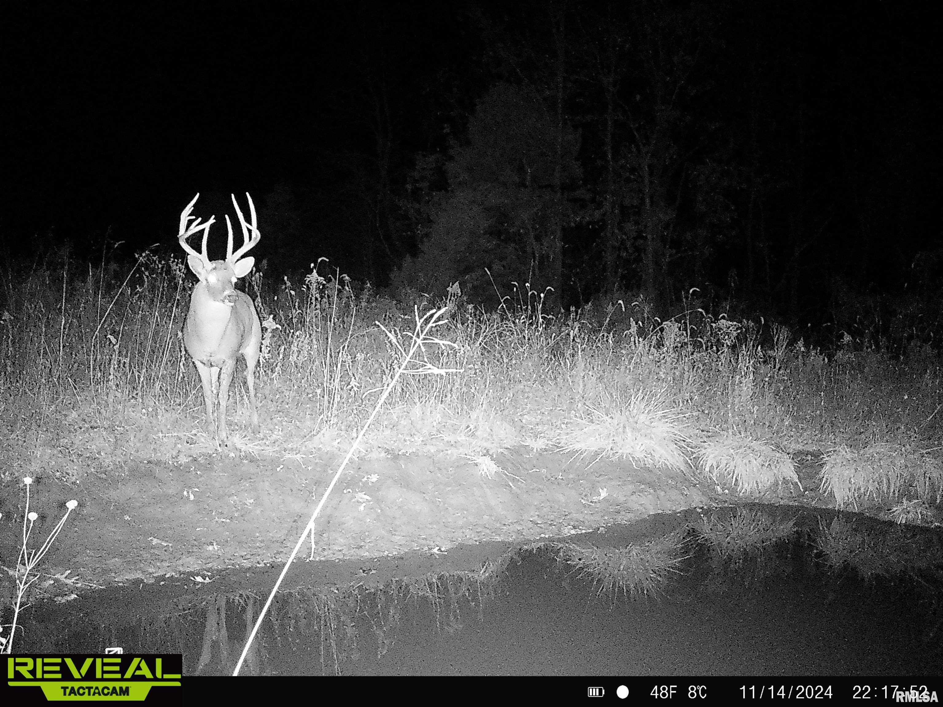 0 Propes Road Iuka, IL 62849 - Photo 15 of 100