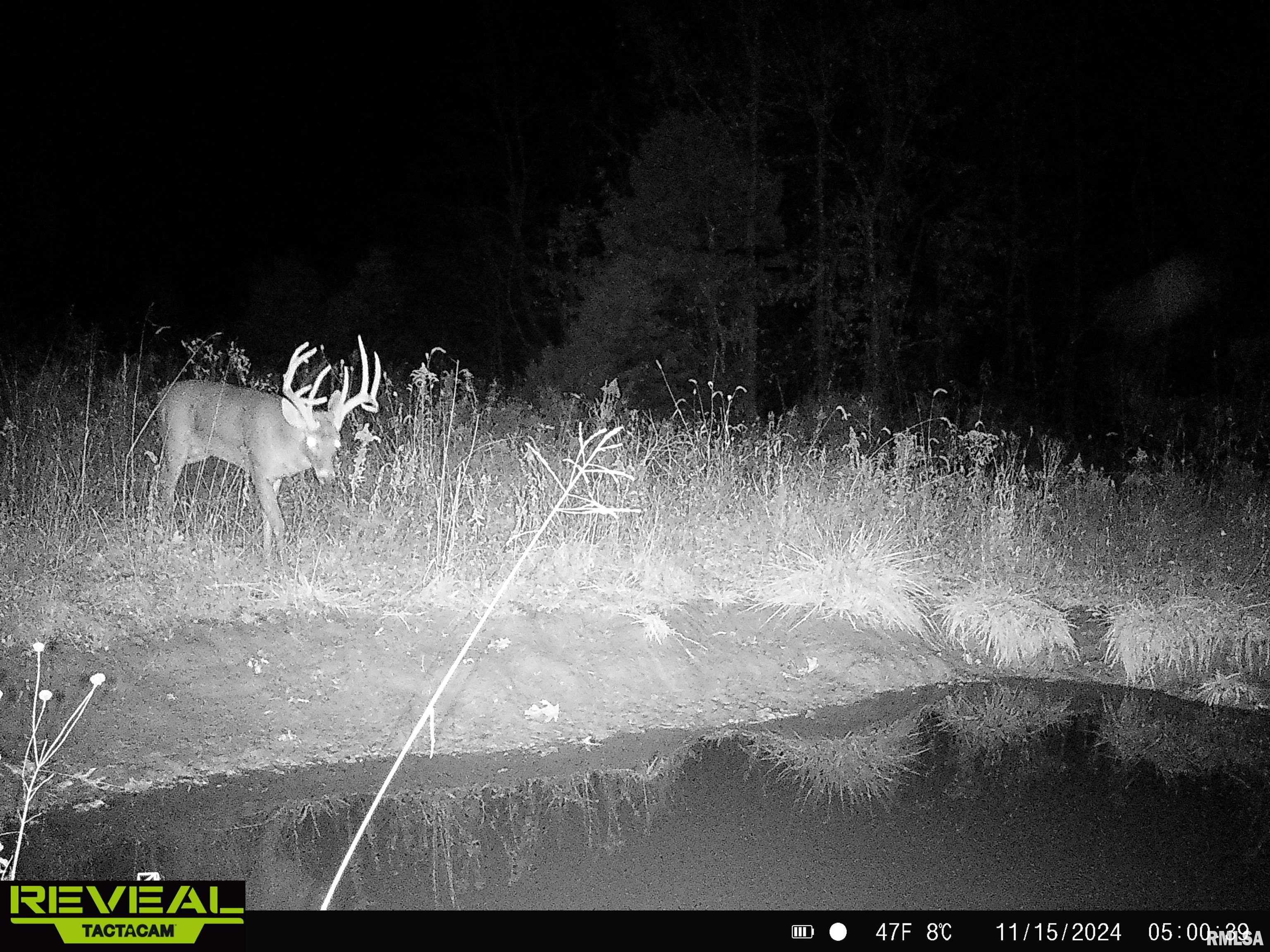 0 Propes Road Iuka, IL 62849 - Photo 17 of 100