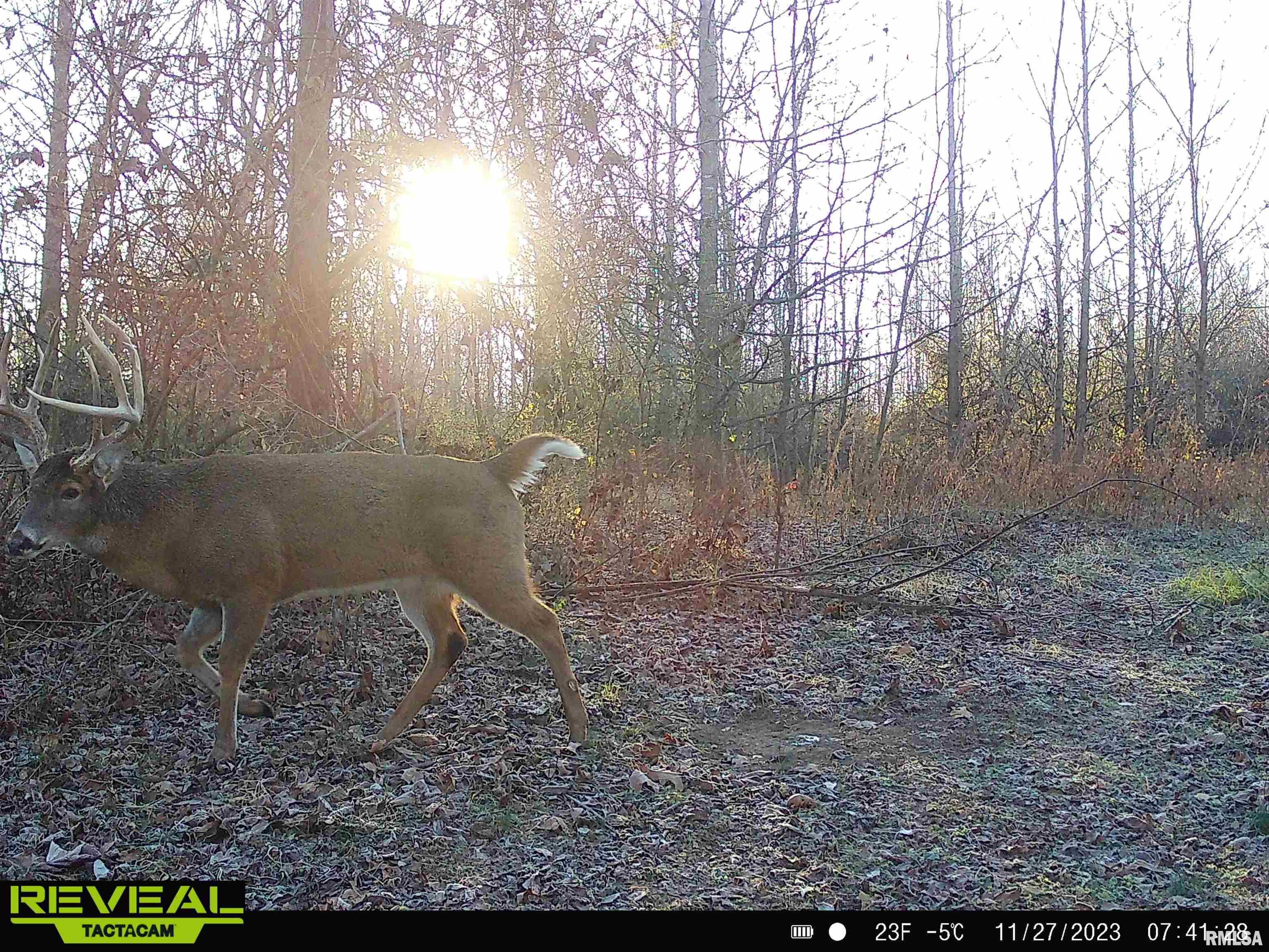 0 Propes Road Iuka, IL 62849 - Photo 19 of 100