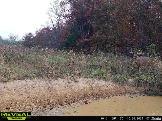 $840,000 | 0 Propes Road, Iuka, IL 62849