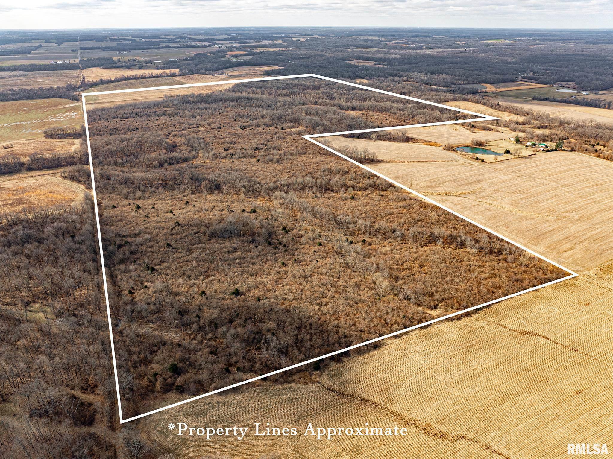 0 Propes Road Iuka, IL 62849 - Photo 2 of 100