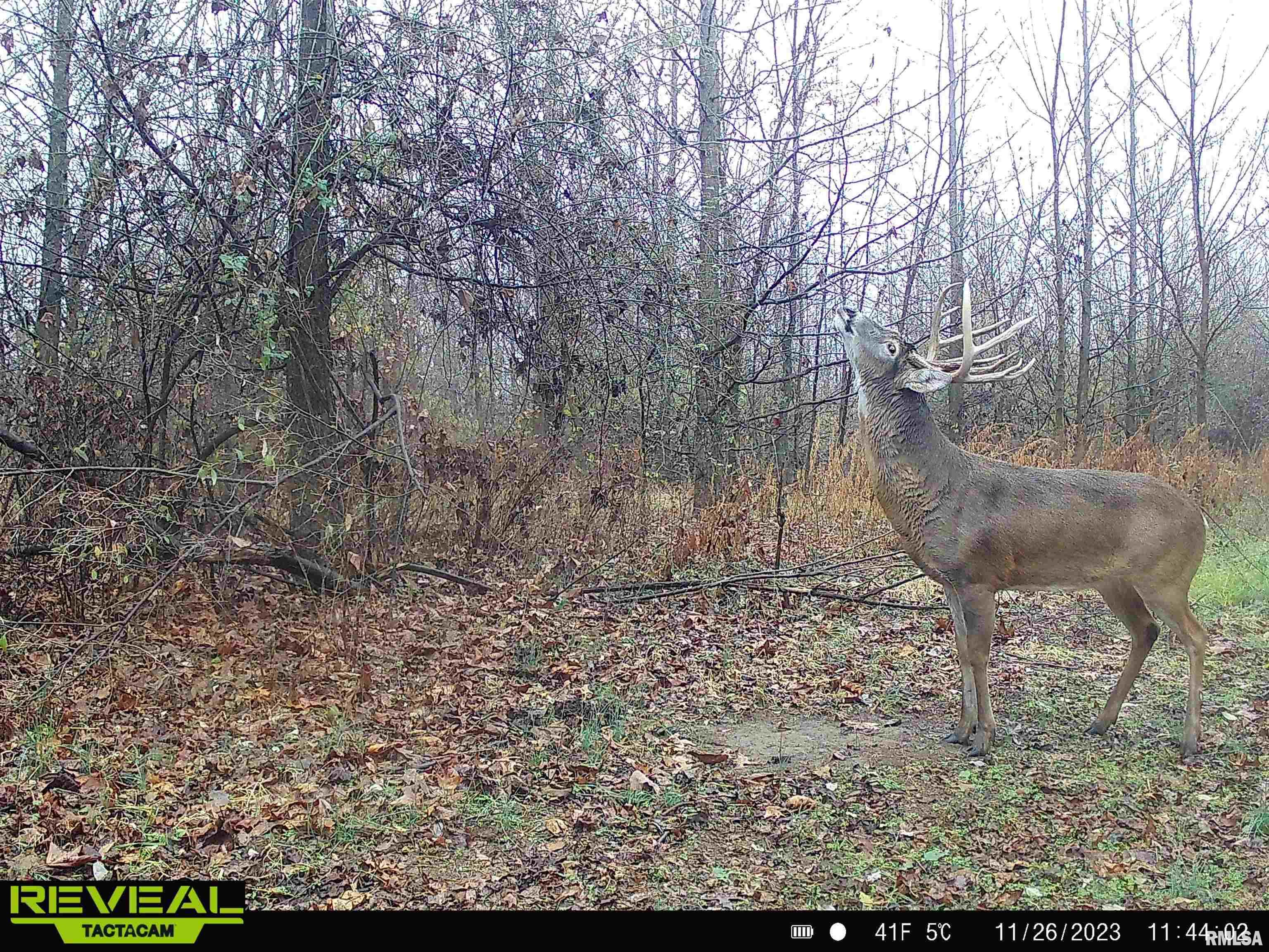 0 Propes Road Iuka, IL 62849 - Photo 21 of 100