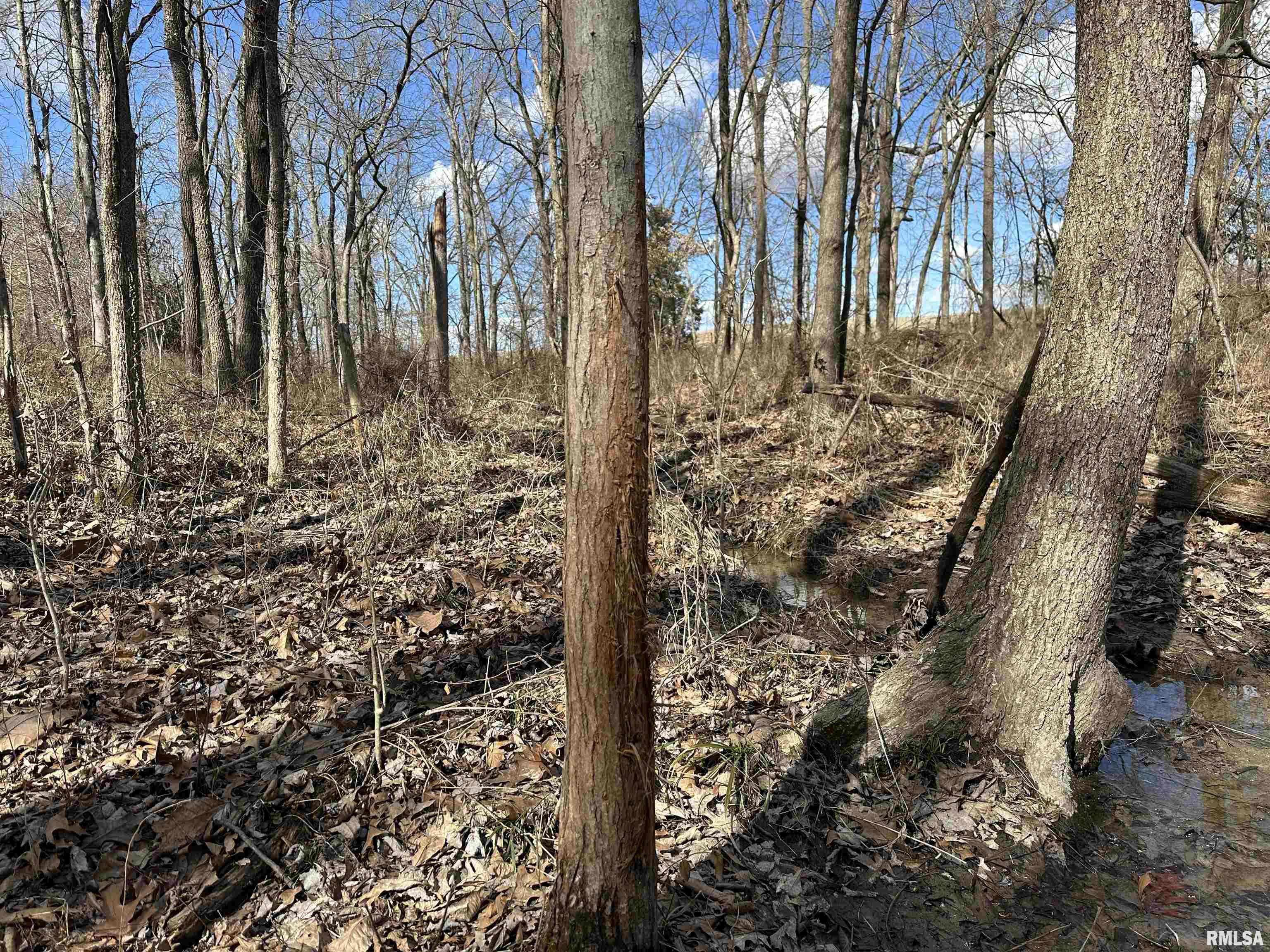 0 Propes Road Iuka, IL 62849 - Photo 22 of 100