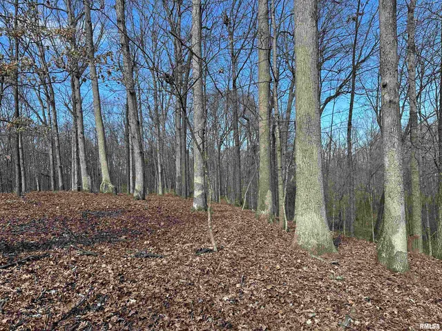 $840,000 | 0 Propes Road, Iuka, IL 62849