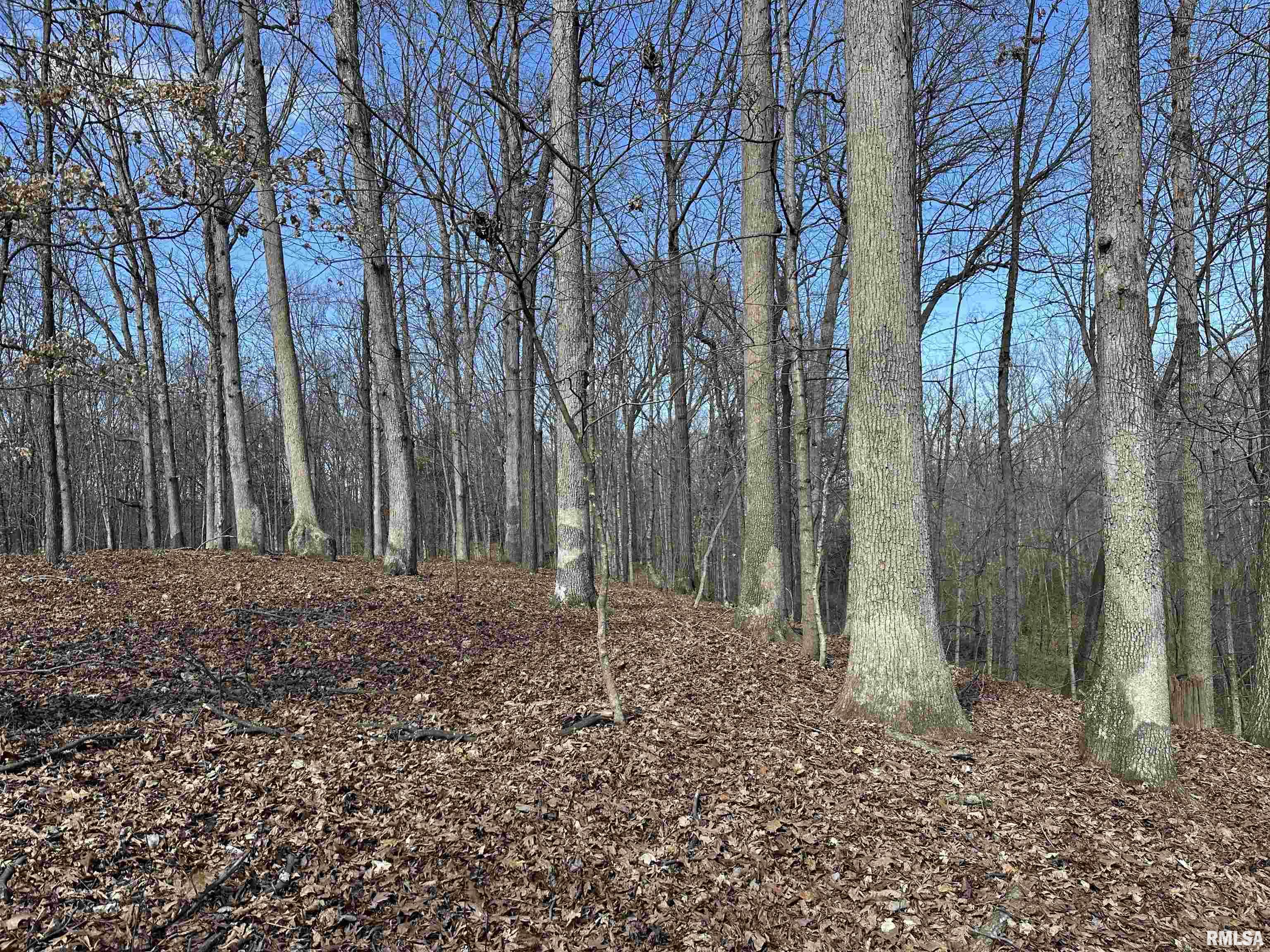 0 Propes Road Iuka, IL 62849 - Photo 23 of 100