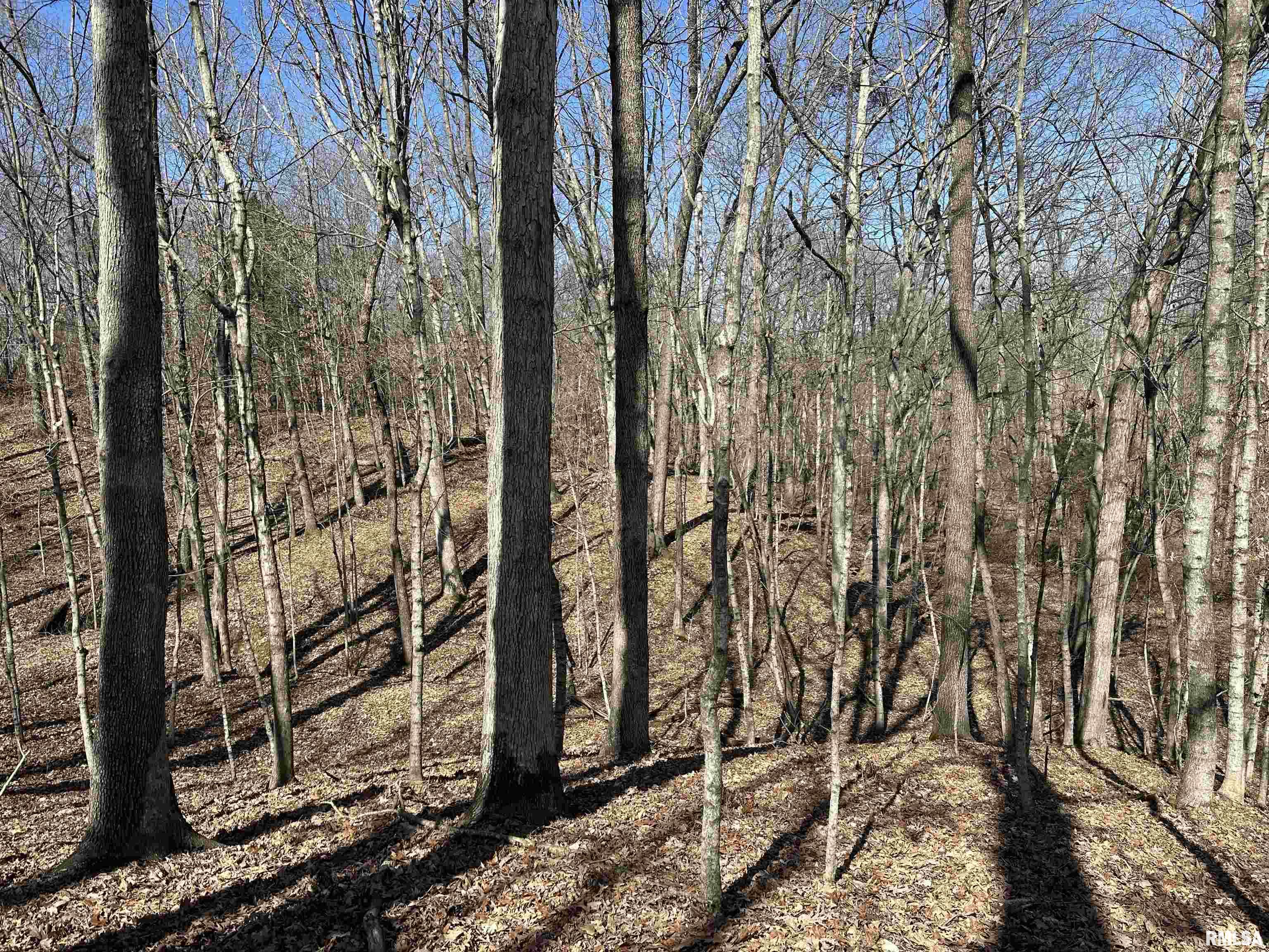 0 Propes Road Iuka, IL 62849 - Photo 24 of 100