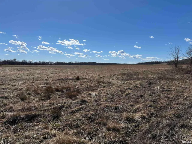 $840,000 | 0 Propes Road, Iuka, IL 62849