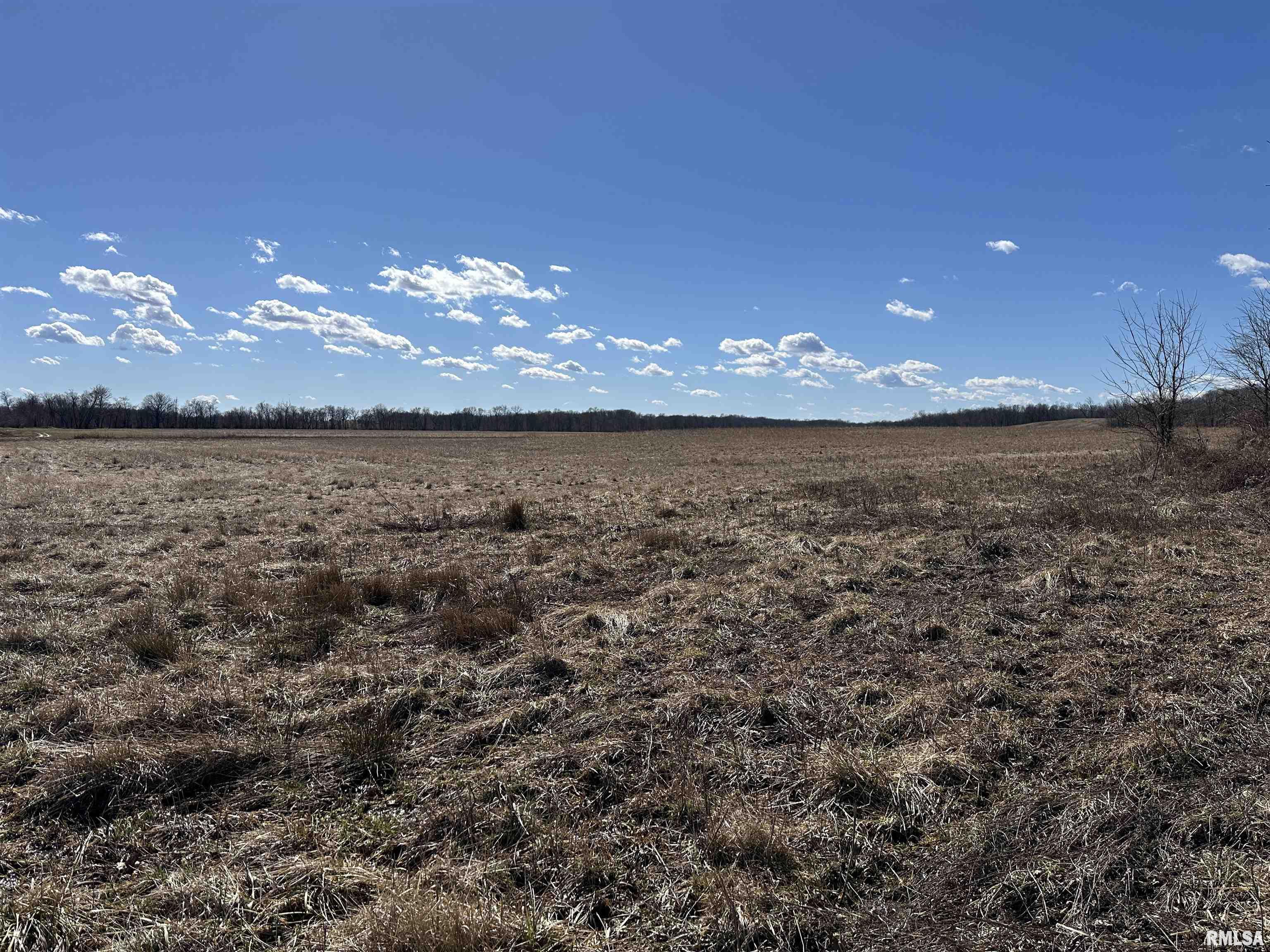 0 Propes Road Iuka, IL 62849 - Photo 25 of 100